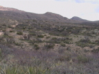 From AV looking east