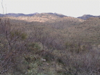 From AV looking North