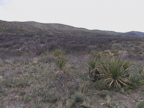 From AV looking SW