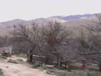 The Harrington Corrals