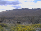 The view north