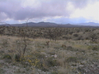 The view south