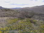 The view west